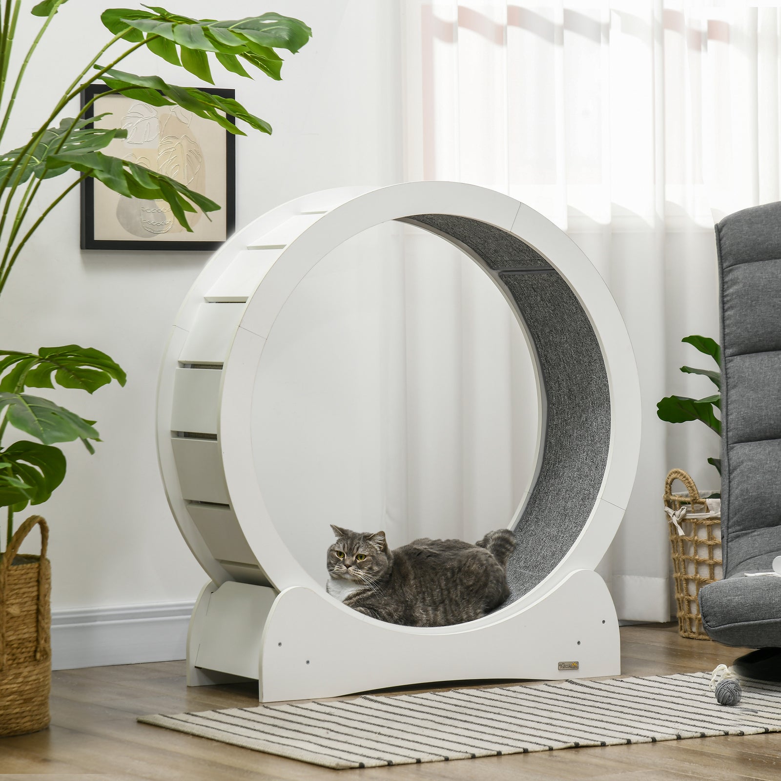 Cat Treadmill, 30/39.4" Wooden Cat Running Wheel With Brake | Small | White