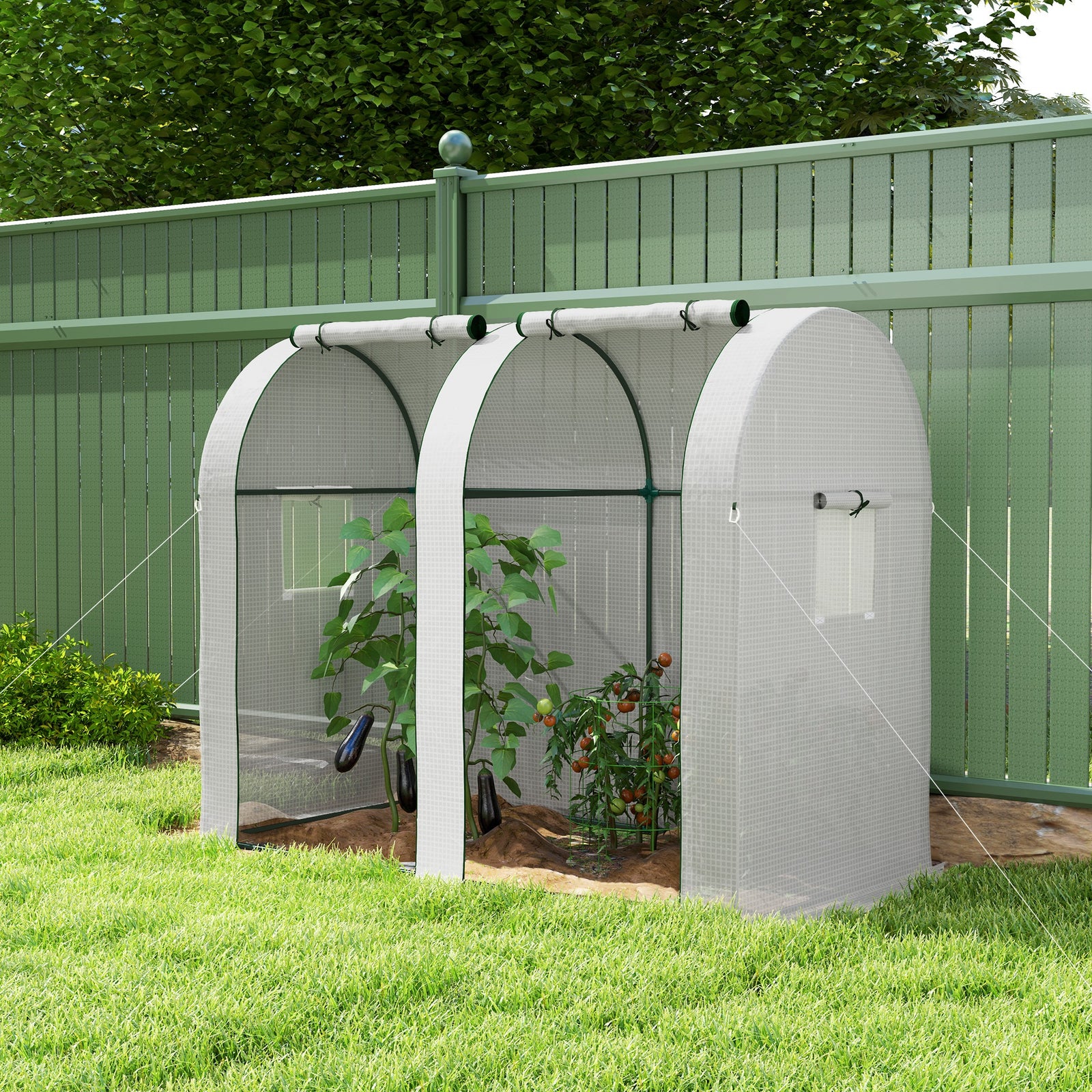 Tomato Greenhouse, Roll-up Door, Mesh Windows | White