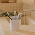 Toothbrush Holder, Matt Stone Unique Design Soft Finish, Saku Collection