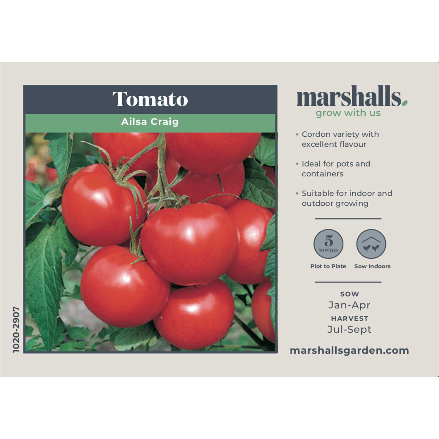Ailsa Craig Tomato Seeds | Set of 50