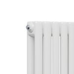 5626 Btu Horizontal Double Column Radiator