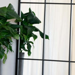 Tomi - Metal Arched Lattice Window Mirror | 180cm x 105cm | Black