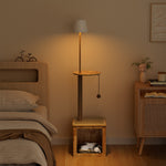 2-in-1 Cat Climbing Frame Floor Lamp