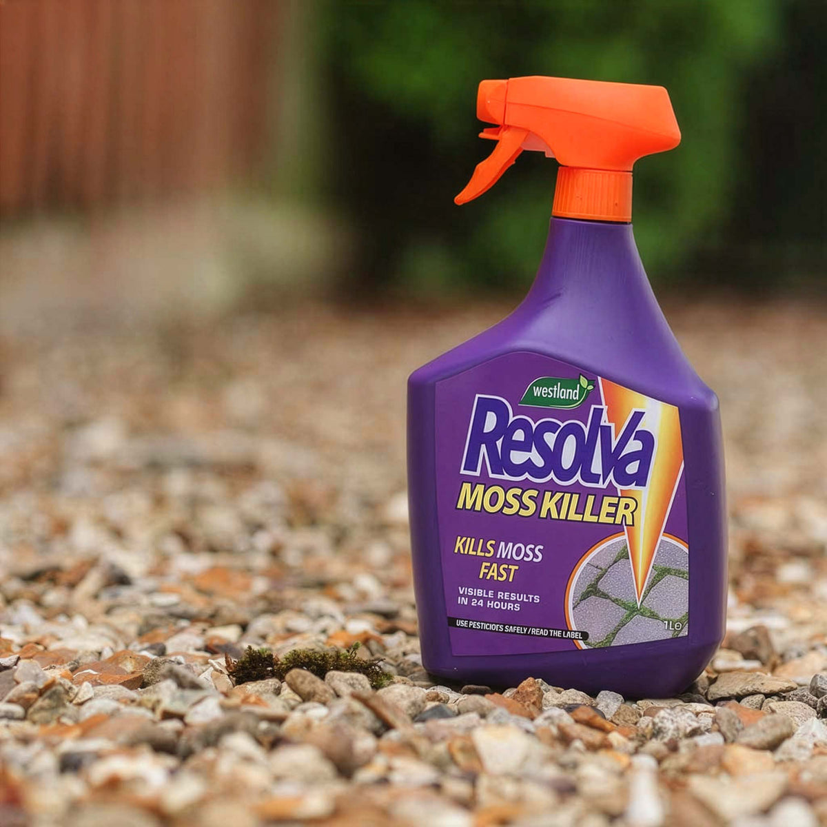 Moss Killer Ready To Use | Set of 2