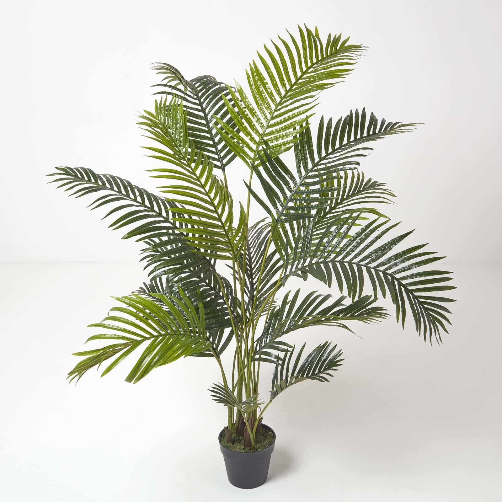 Areca Palm Tree In Pot | 160cm | Green