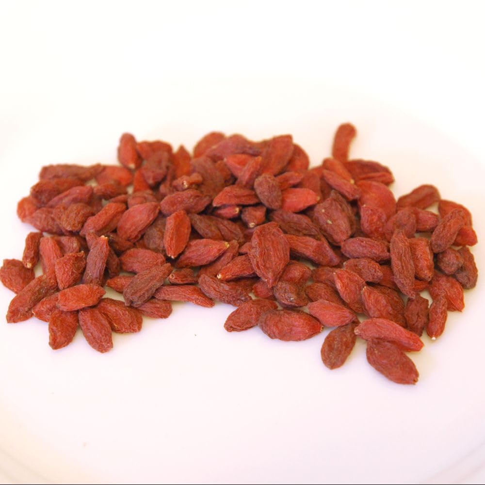 Lycium Barbarum (goji Berry) No.1 Lifeberry 9cm Pot | 2 x 9cm