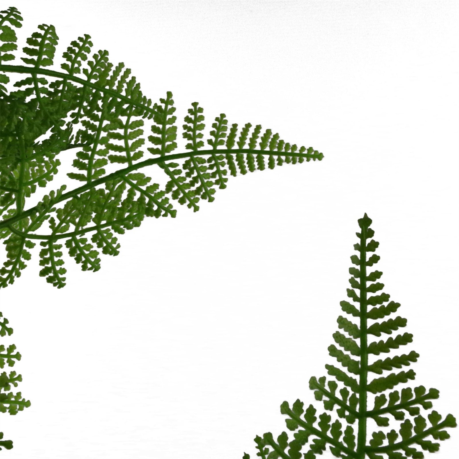150cm Artificial Natural Moss Base Fern Foliage Plant With Copper Metal Plater