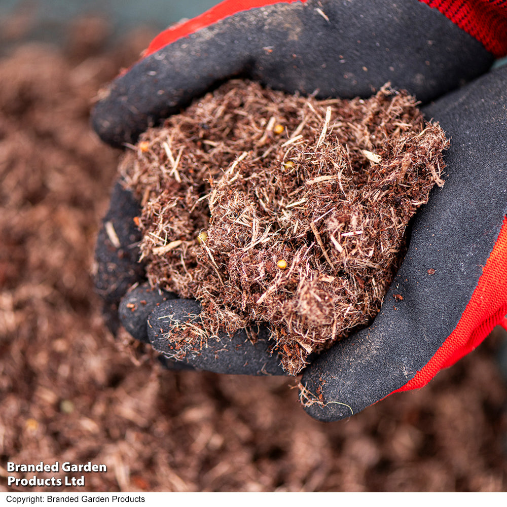 Incredi Peatfree Premium Multi-purpose Compost - 40 Litre Bag + 120g Incredibloom