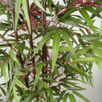 Artificial 180cm Bamboo 1140 Red Green Silk Leaves