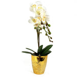 54cm Artificial Orchid Plant White With Gold Pot