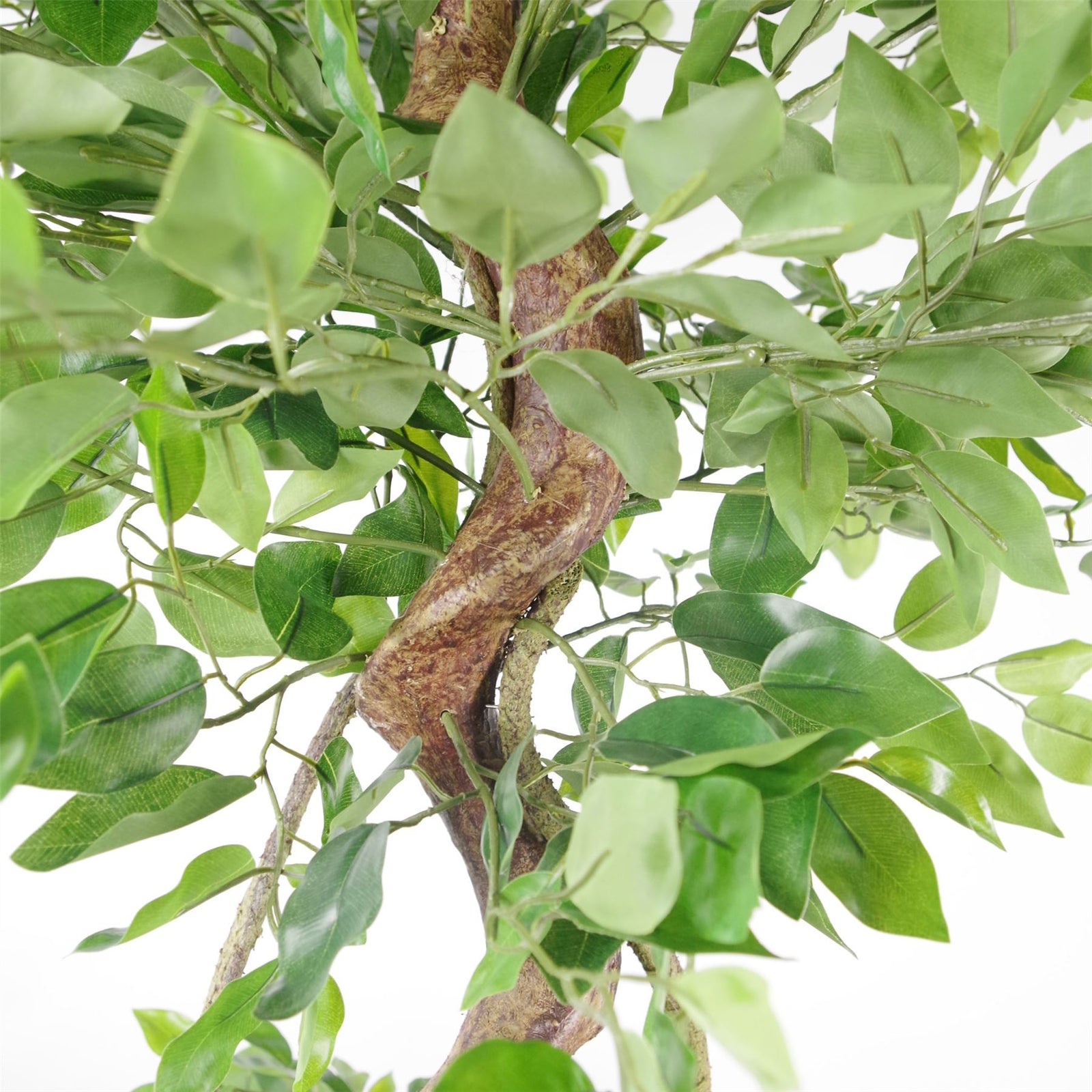 Twisted Trunk Artificial Japanese Fruticosa Style Ficus Tree 150cm