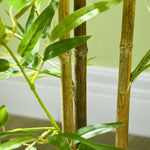 120 Cm Artificial Bamboo Tree With Pot