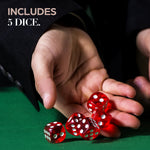 500 Chip Pro Poker Set - Black Edition