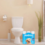Toilet Rolls X36 Classic Clean Fragrance-free 2 Ply Toilet Paper