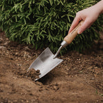 Stainless Steel Hand Trowel With Ash Wood Handle