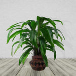 22cm X 34cm Aztec Inca Large Planter