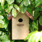 Wren Nesting Box With Copper Roof | Brown