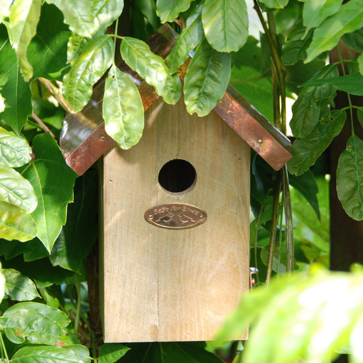 Wren Nesting Box With Copper Roof | Brown
