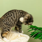 Cat Tree For Indoor Cats W/ Scratching Posts Hammock, Toy Ball - Beige