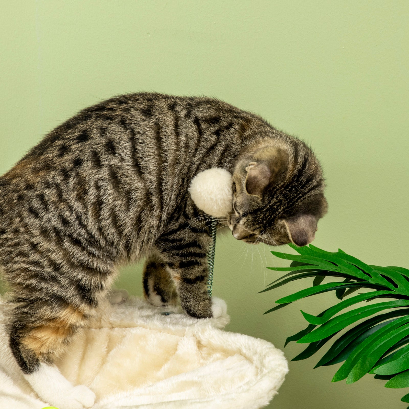 Cat Tree For Indoor Cats W/ Scratching Posts Hammock, Toy Ball - Beige