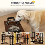 Raised Dog Bowls With 4 Heights Adjustable And 3 Adjustable Angles