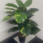 Artificial Foliage Plant Pot Devils Ivy 60cm Plants
