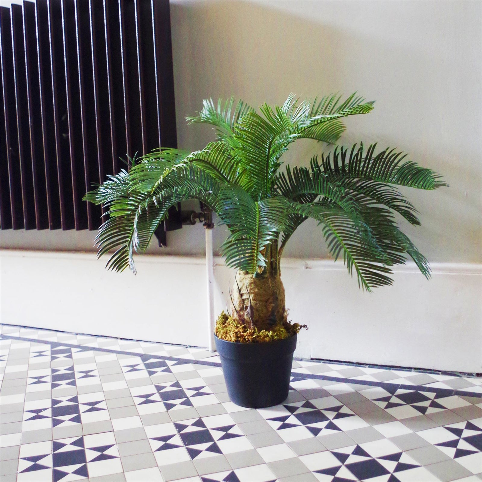 Large Artificial Palm Tree 60cm Cycas Realistic Plant Leaf Design Uk Botanik