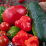 Chilli Plant 'bishops Crown' | 6 x Jumbo Plugs | Red