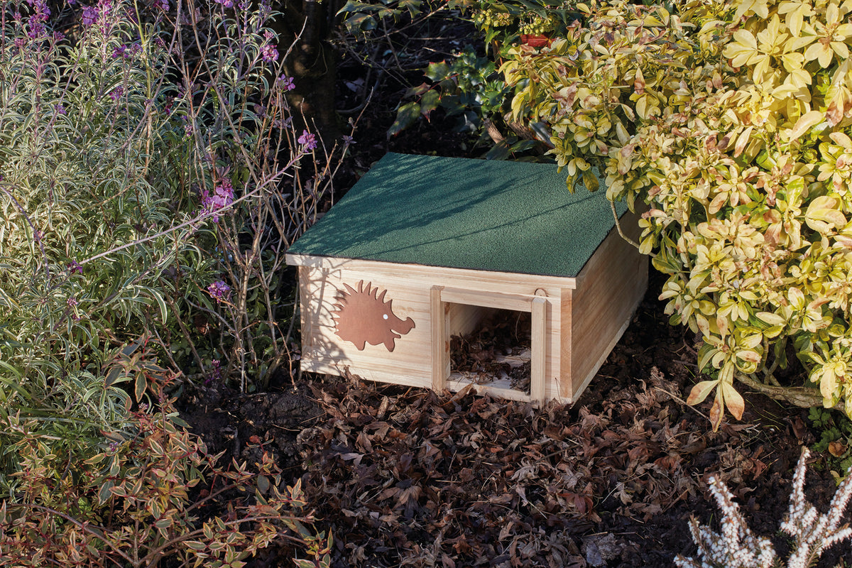 Hedgehog House
