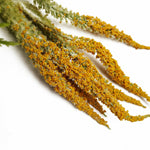 180cm Artificial Trailing Hanging Garland Amaranthus Plant