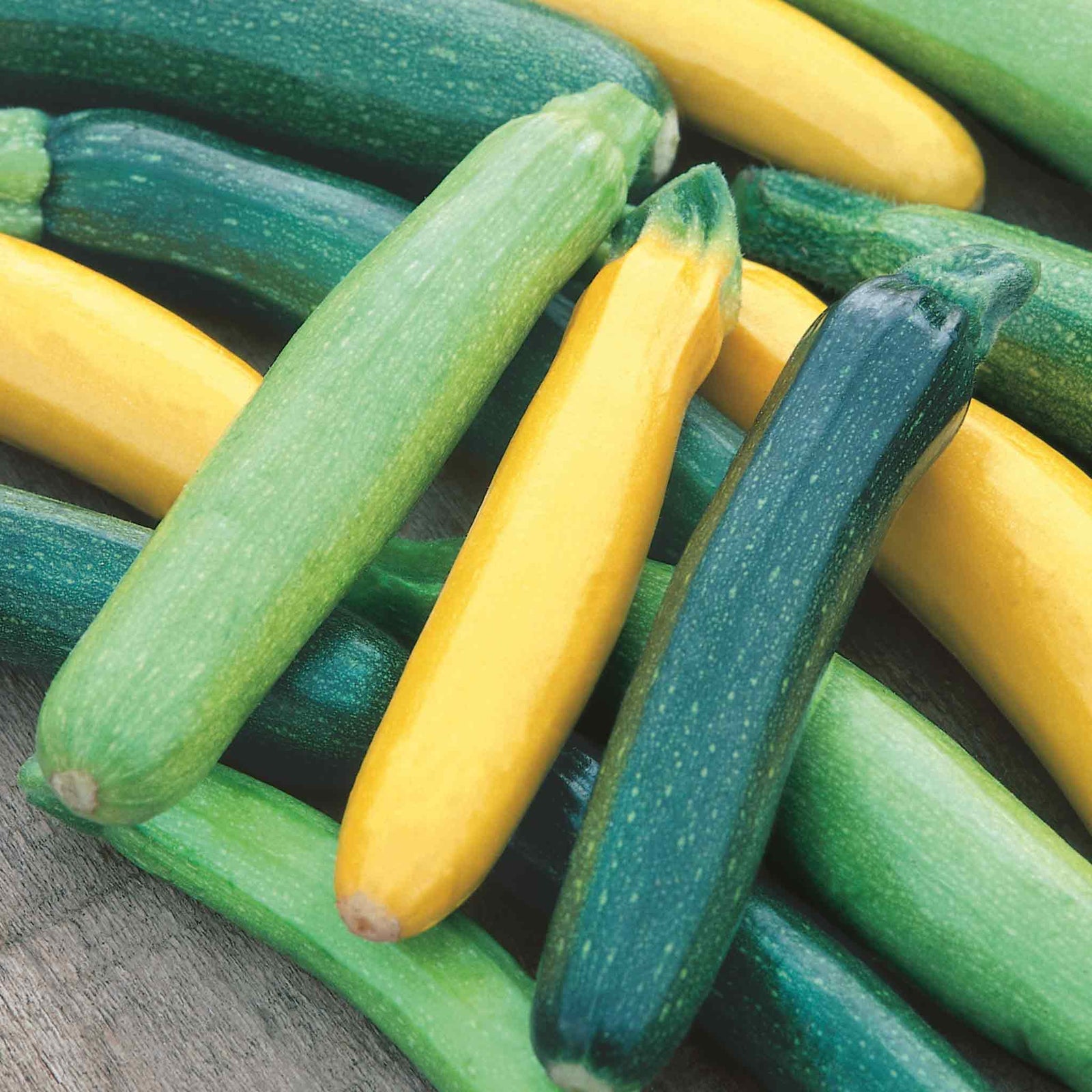 Courgette Seeds TristarMixed Green And Yellow Zucchini Seeds | 8 Seeds