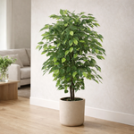 90cm  Realistic Artificial Ficus Tree / Plant
