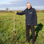 Crab Apple Tree 'jelly King', Large Orange-pink Fruit, Bare-root, Mm106 | 1 x Bare Root | Coral Pink