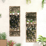 Wall Mounted Plant Stands Set Of 2 With Shelves And Trellis | Natura