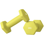 Set Of 2 Hexagonal Dumbbells Weights Pair | XS | Yellow
