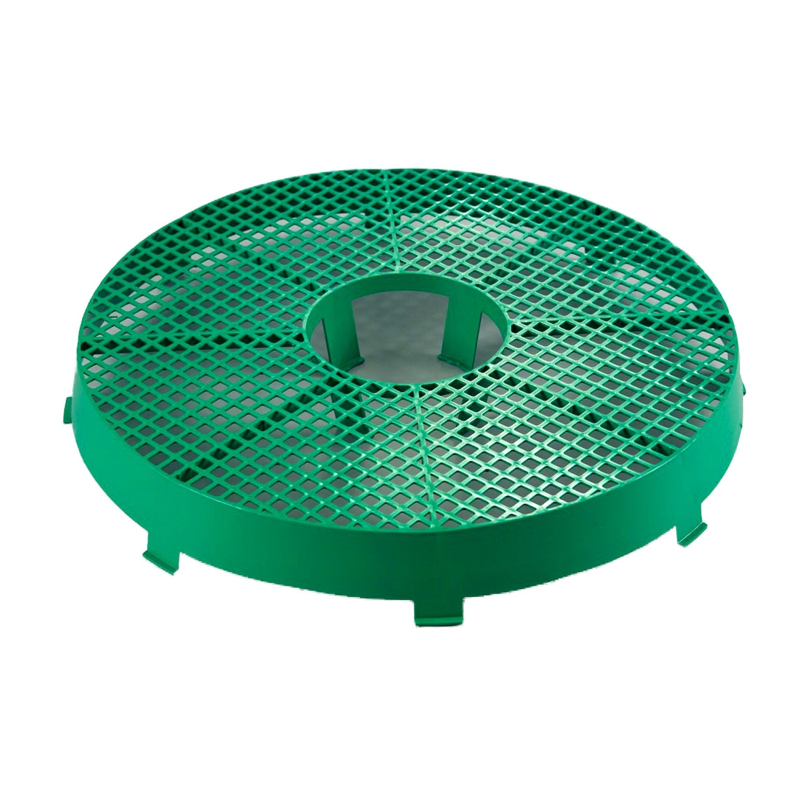 Chick Stand Disko Feeder Platform | One Size | Green