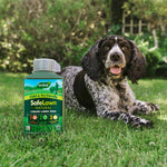 Safelawn Liquid Lawn Feed - 100% Natural Organic Child & Pet Safe | 1L