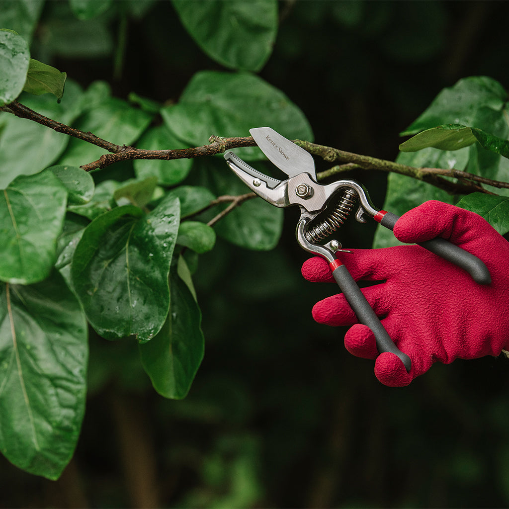 Traditional Anvil Secateurs | Small