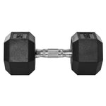 15kg Hex Rubber Dumbbell For Home Exercise | Black