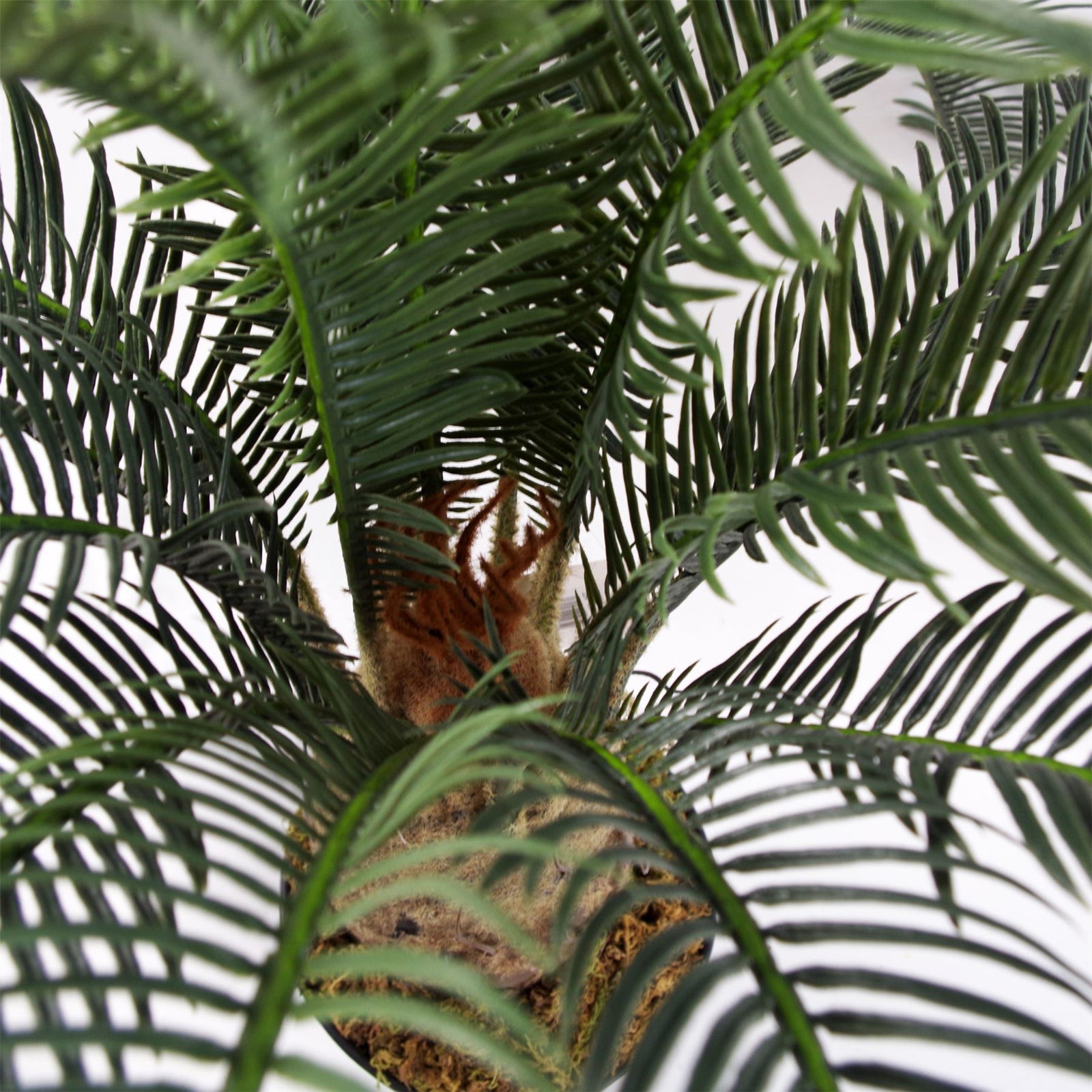 Large Artificial Palm Tree 60cm Cycas Plant Uk