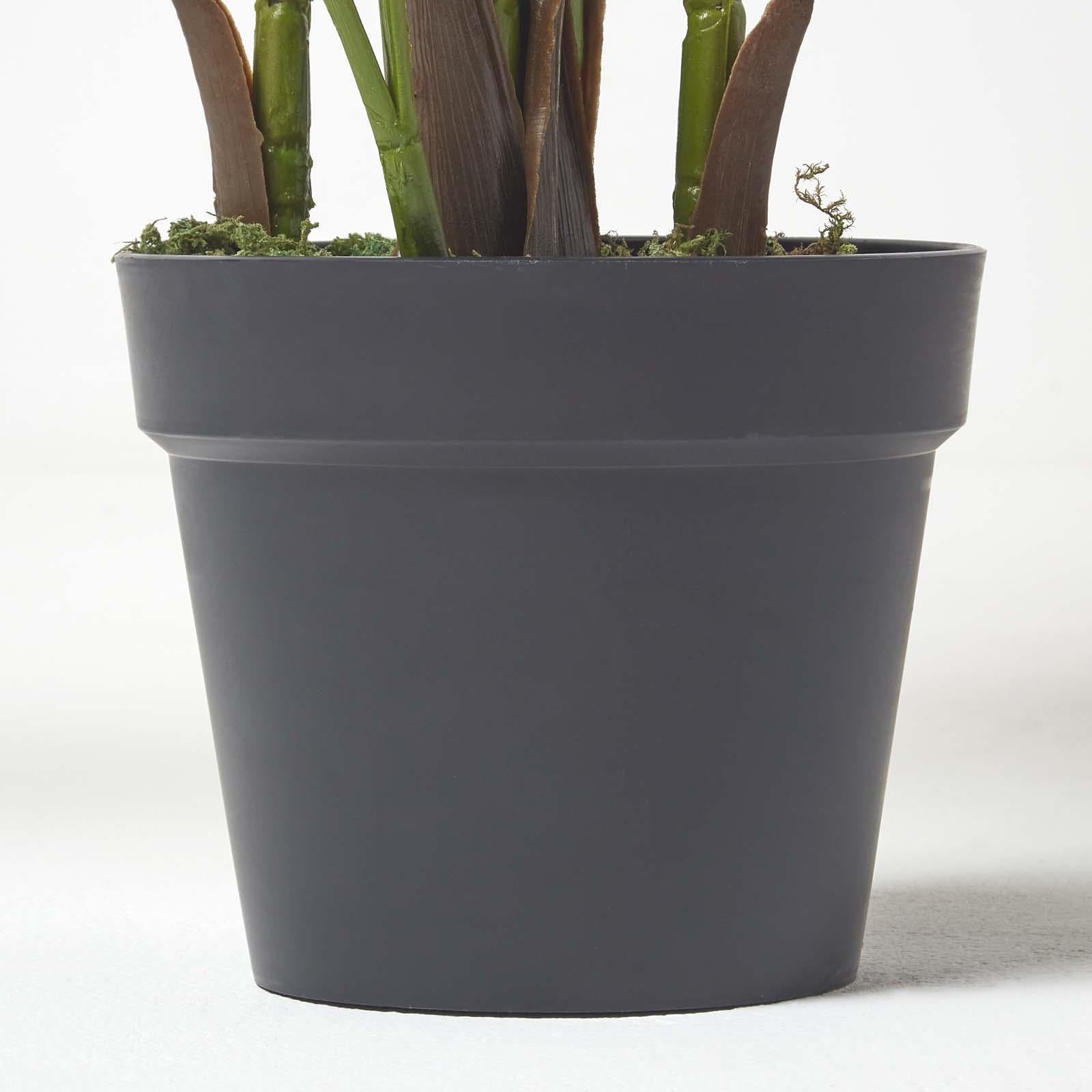 Areca Palm Tree In Pot | 160cm | Green