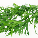 Pack Of 6 X 80cm Hanging Artificial Staghorn Fern