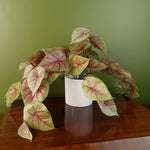 Artificial 30cm Pink Caladium Potted Trailing Plant