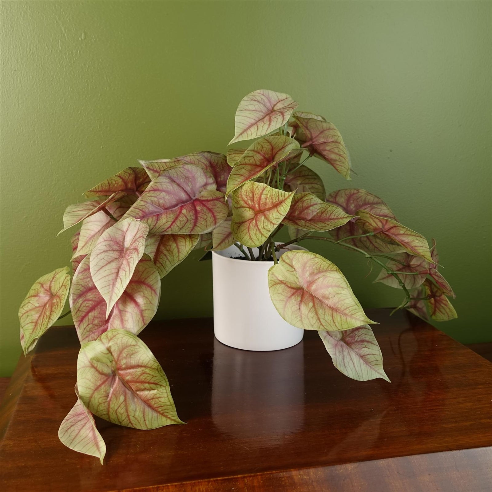 Artificial 30cm Pink Caladium Potted Trailing Plant