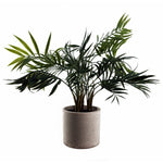 40cm Artificial Mini Palm In Decorative Planter