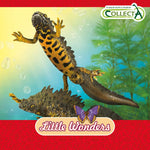 CollectA Great Crested Newt