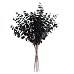 6 X 80cm Black Eucalyptus Foliage Stem