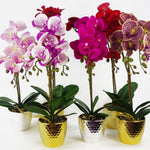 50cm Phalaenopsis Orchid Artificial Red Leopard Gold Pot