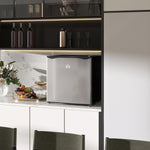 Mini Fridge With Chiller Box, Silver