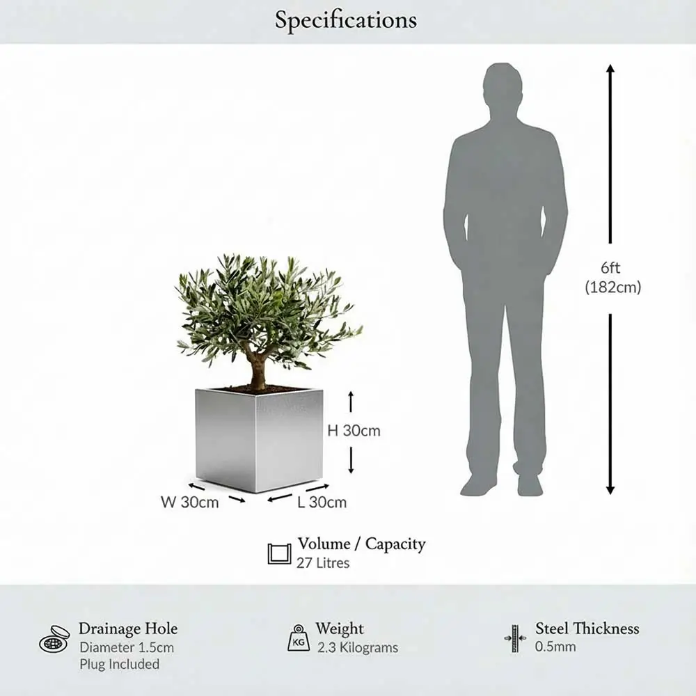 Zinc Galvanised Square Planter | 30cm x 30cm x 30cm | Silver
